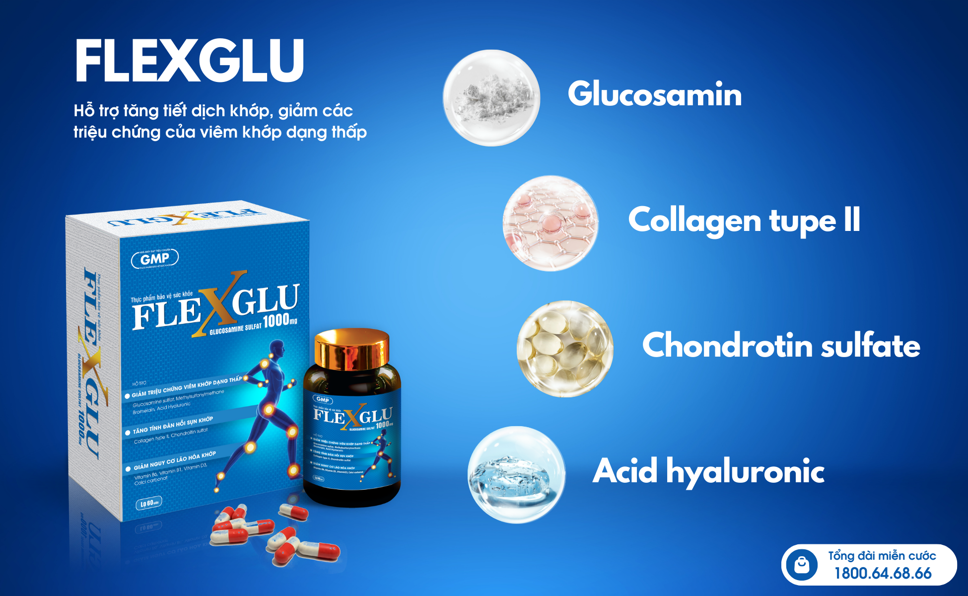 Flexglu - Sản phẩm tâm huyết từ Dược liệu Trung ương 28