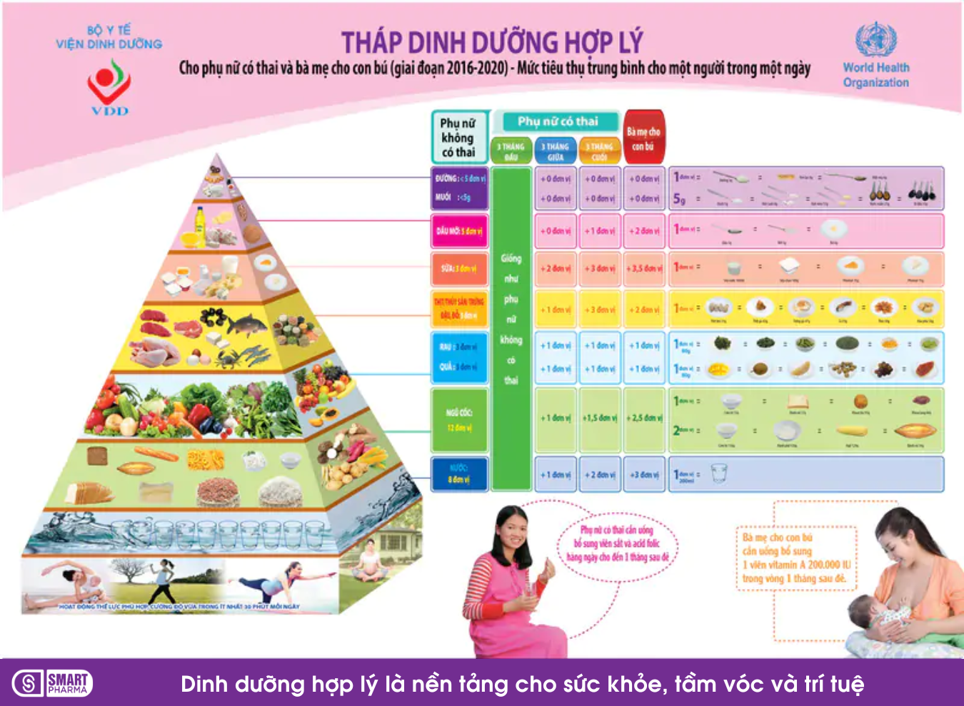 Tháp dinh dưỡng cho bà bầu cung cấp những thông tin cần thiết về lượng thức ăn cần thiết trong thai kỳ