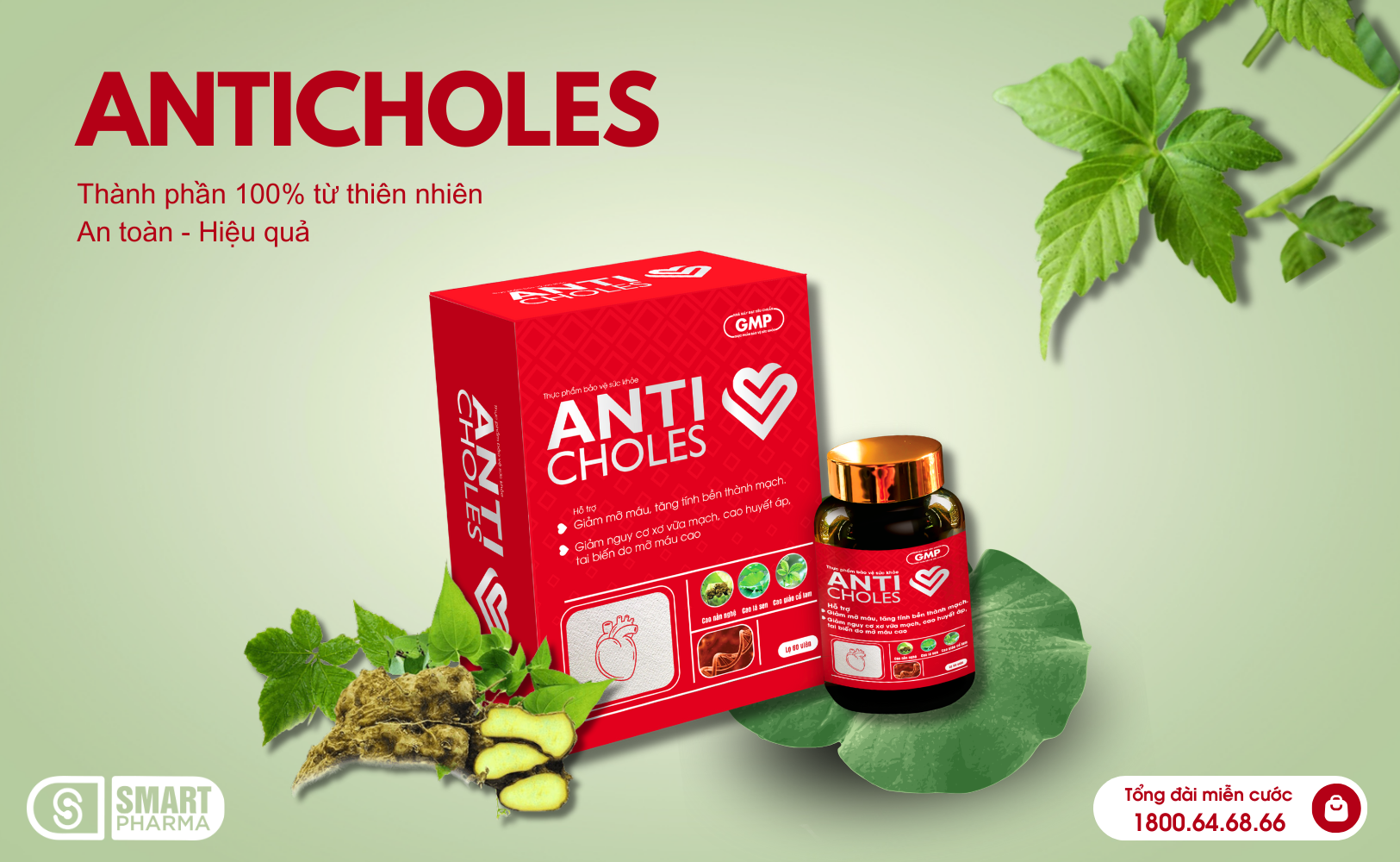 Thực phẩm bảo vệ sức khỏe AntiCholes