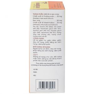Smart Pharma - Siro Methorphan Bee Traphaco hỗ trợ giảm ho, giảm đờm, viêm họng, viêm phế quản (100ml) 3 Smart Pharma - DSC 07476 e8bdabf2c6