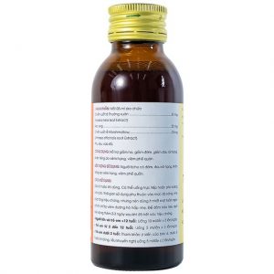 Smart Pharma - Siro Methorphan Bee Traphaco hỗ trợ giảm ho, giảm đờm, viêm họng, viêm phế quản (100ml) 6 Smart Pharma - DSC 07479 6d37761413