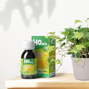 Smart Pharma - Siro Ho ATK - hỗ trợ giảm đau rát họng, hỗ trợ bổ phế, giảm đờm, giảm ho 4 Smart Pharma - Mockup HO copy