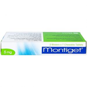 Smart Pharma - Thuốc Montiget 5mg phòng và điều trị hen phế quản mãn tính 2 Smart Pharma - Montiget 5mg2