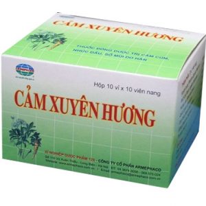 Cảm xuyên hương Armephaco hộp 10 vỉ x 10 viên