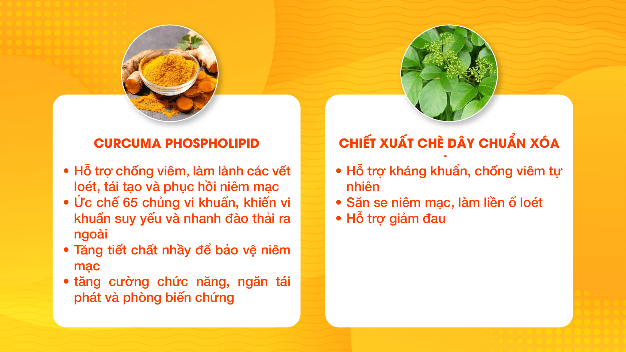 Smart Pharma - Cucurma Phospholipid