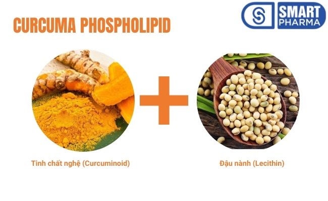 Curcuma phospholipid trị viêm đại tràng, chống ung thư hiệu quả