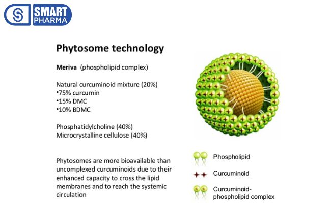 Thành phần chính Curcuma phospholipid Meriva