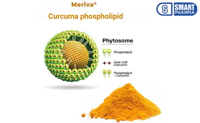 Các nhà khoa học Indena thuộc Italia đã nghiên cứu công nghệ Phytosome với Curcumin