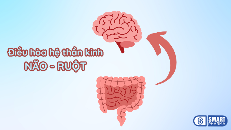 Bảo Tràng Vương – điều hòa hệ thần kinh não ruột cho người bị viêm đại tràng co thắt  