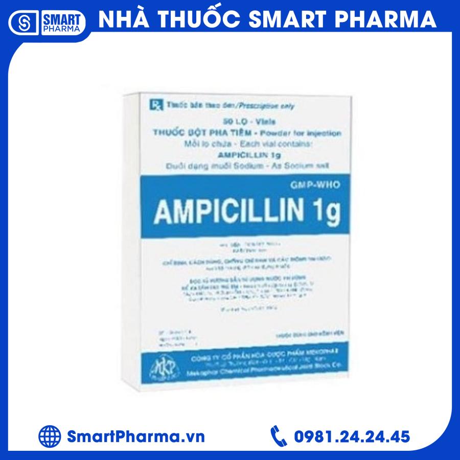 Ampicillin Smart Pharma - Ampicillin