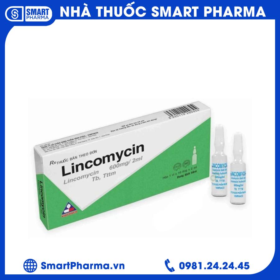 Lincomycin Smart Pharma - Lincomycin