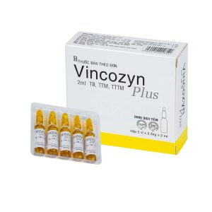 Smart Pharma - Dung dịch Vincozyn Plus Vinphaco phòng ngừa và điều trị các bệnh thiếu Vitamin B (2 vỉ x 5 ống x 2ml) 1 Smart Pharma - Thiet ke chua co ten 29