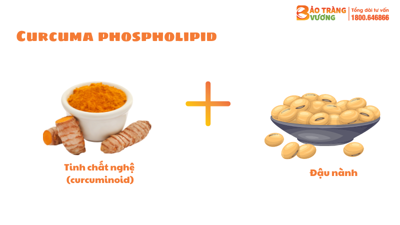 Smart Pharma - curcuma phos