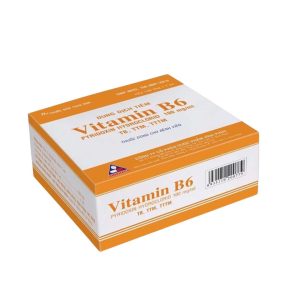 Smart Pharma - Thuốc tiêm Vitamin B6 100Mg/Ml Vinphaco điều trị thiếu vitamin B6 (100 ống x 1ml) 3 Smart Pharma - fb 2 2024 07 05T145000.169