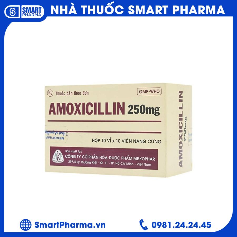 Amoxicillin 250mg Mekophar Smart Pharma - Amoxicillin 250mg Mekophar