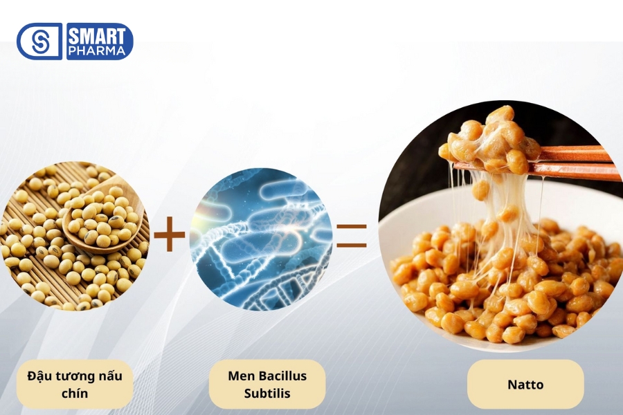 Nattokinase được chiết xuất từ món Natto