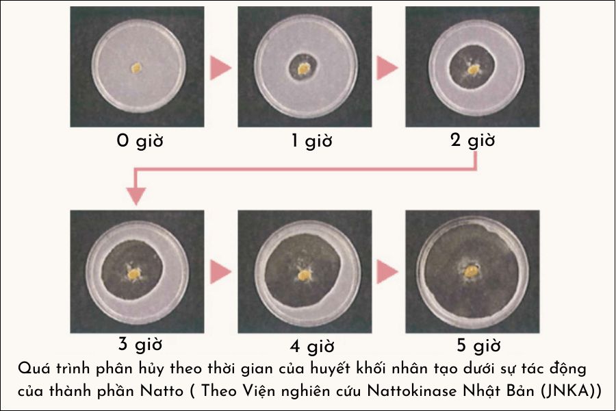 Smart Pharma - tieu huyet khoi