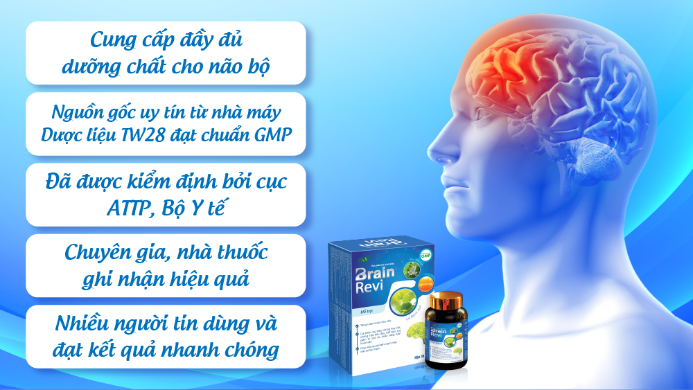 Lý do người dùng nên đặt trọn niềm tin vào Brain Revi