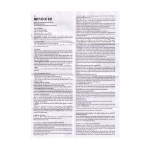 Smart Pharma - Thuốc Barole 20mg điều trị viêm loét do trào ngược dạ dày - thực quản (10 vỉ x 10 viên) 1 Smart Pharma - a2 3 7