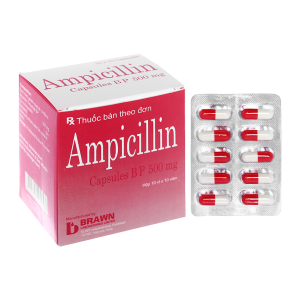 Thuốc Ampicillin 500mg Brawn điều trị nhiễm khuẩn (10 vỉ x 10 viên)