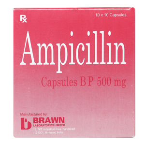 Smart Pharma - Thuốc Ampicillin 500mg Brawn điều trị nhiễm khuẩn (10 vỉ x 10 viên) 1 Smart Pharma - Nha thuoc Smart Pharma 2026 10 15T150730.757