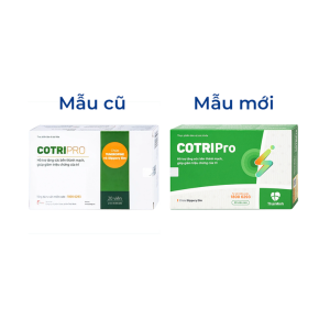 Smart Pharma - Viên uống Cotripro Thái Minh hỗ trợ tăng sức bền thành mạch, giảm triệu chứng của trĩ (2 vỉ x 10 viên) 2 Smart Pharma - Smart pharma 2024 11 28T195738.213