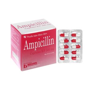 Thuốc Ampicillin Capsules BP 500mg Brawn điều trị nhiễm khuẩn (10 vỉ x 10 viên)