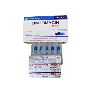 Smart Pharma - Thuốc kháng sinh LINCOMYCIN 500mg (Armephaco) điều trị nhiễm khuẩn hộp 10 vỉ x 10 viên 2 Smart Pharma - Lincomycin 500mg Armephaco 1