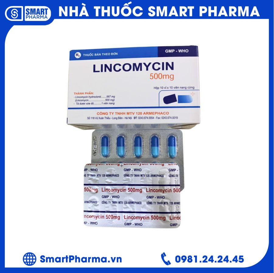 Lincomycin 500mg Armephaco 1 Smart Pharma - Lincomycin 500mg Armephaco 1