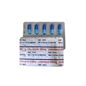 Smart Pharma - Thuốc kháng sinh LINCOMYCIN 500mg (Armephaco) điều trị nhiễm khuẩn hộp 10 vỉ x 10 viên 1 Smart Pharma - Lincomycin 500mg Armephaco 2