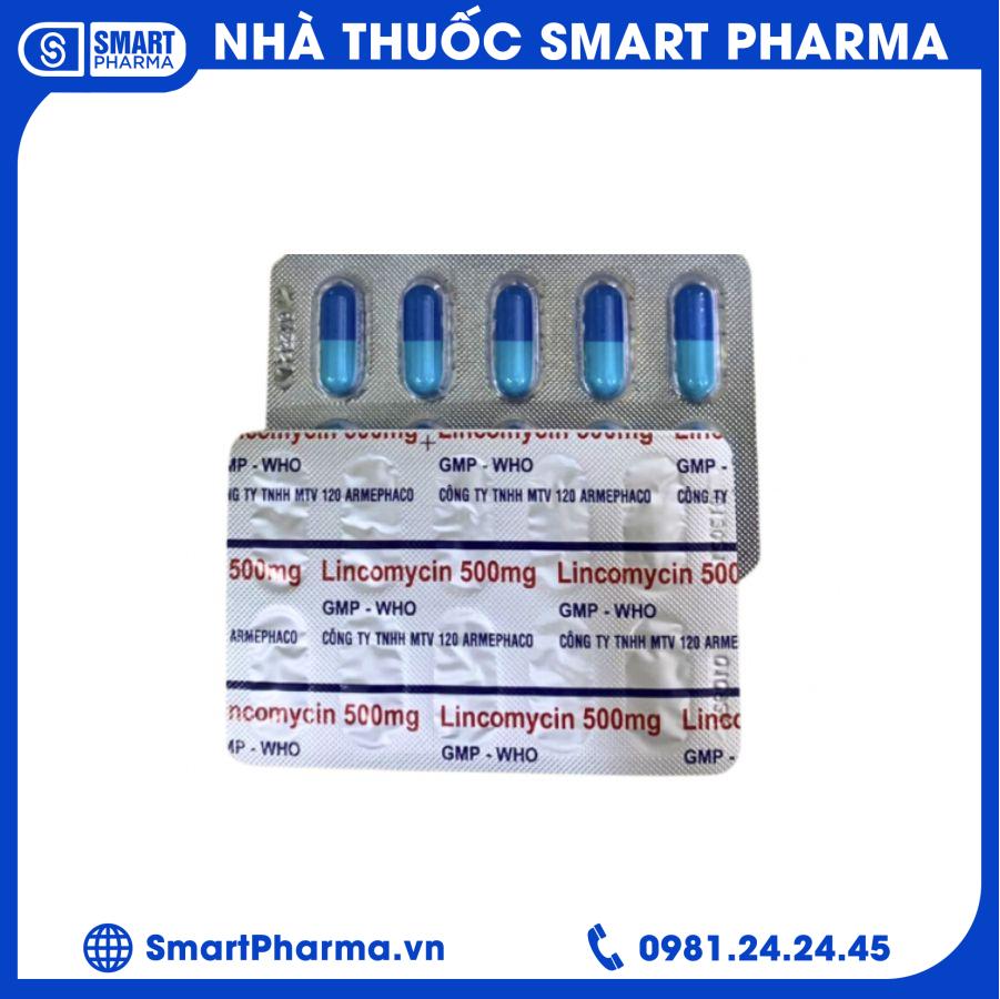 Lincomycin 500mg Armephaco 2 Smart Pharma - Lincomycin 500mg Armephaco 2