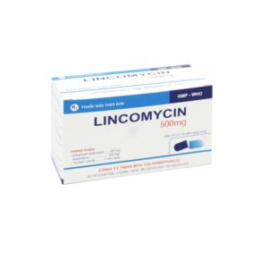 Thuốc kháng sinh LINCOMYCIN 500mg (Armephaco) điều trị nhiễm khuẩn hộp 10 vỉ x 10 viên