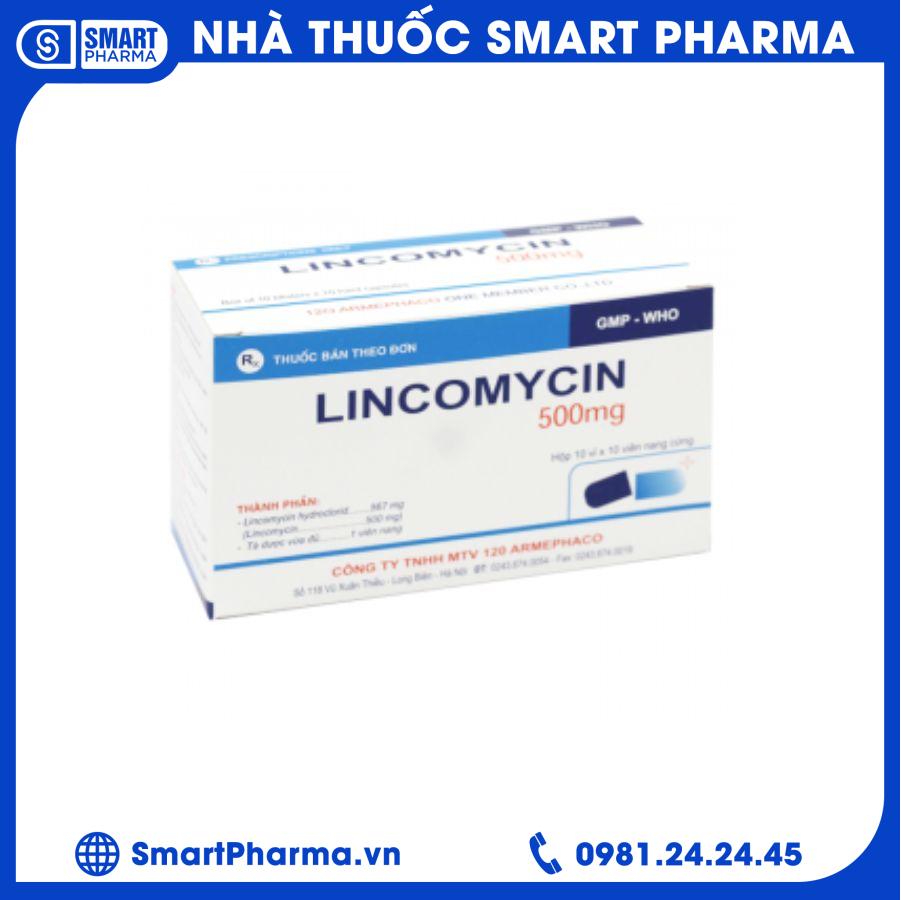Lincomycin 500mg Armephaco Smart Pharma - Lincomycin 500mg Armephaco