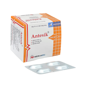 Smart Pharma - Thuốc Antesik Mediplantex điều trị viêm đại tràng, chữa ỉa chảy, lỵ, rối loạn tiêu hóa (10 vỉ x 4 viên) 1 Smart Pharma - Nha thuoc Smart Pharma 2026 10 16T164630.524