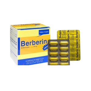 Smart Pharma - Thuốc Berberin 100mg Armephaco điều trị nhiễm khuẩn đường ruột, tiêu chảy, kiết lỵ (Hộp 10 vỉ x10 viên) 1 Berberin