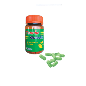 Smart Pharma - Thuốc Terpin Goledin NIC Pharma cắt đứt cơn ho, long đờm ( Lọ 300 viên) 2 Smart Pharma - Smart pharma 2024 12 26T092828.105