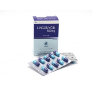 Thuốc kháng sinh Lincomycin 500mg Pharbaco điều trị nhiễm khuẩn ( Hộp 10 vỉ x 10 viên)