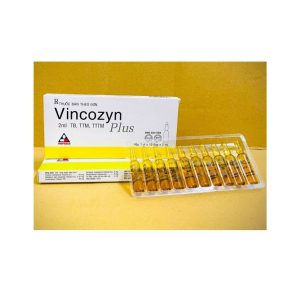 Smart Pharma - Dung dịch Vincozyn Plus Vinphaco phòng ngừa và điều trị các bệnh thiếu Vitamin B (Hộp 1 vỉ x 10 ống x 2ml ) 2 Smart Pharma - Vincozyn plus 1vi x10 ong 1