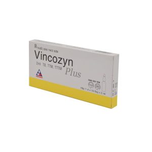 Dung dịch Vincozyn Plus Vinphaco phòng ngừa và điều trị các bệnh thiếu Vitamin B (Hộp 1 vỉ x 10 ống x 2ml )