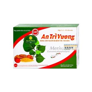 An Trĩ Vương