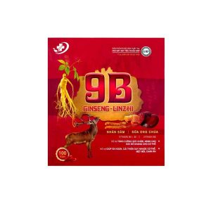 9B Ginseng Linzhi Vinaphar bổ sung dưỡng chất, giúp ăn ngon, hỗ trợ nâng cao sức đề kháng cơ thể (Hộp 100 viên)