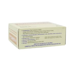 Smart Pharma - Thuốc tiêm Huginko (H/10ống) phòng ngừa và điều trị bệnh Alzheimer và hỗ trợ điều trị suy giảm trí nhớ 2 Smart Pharma - Huginko 2