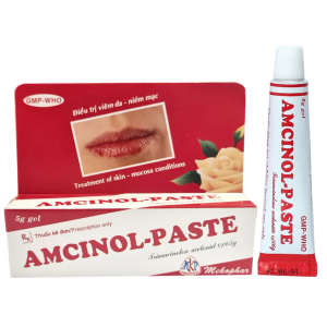 Thuốc Amcinol - Paste Mekophar trị viêm miệng, lợi và môi (5g)