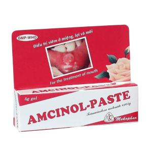 Smart Pharma - Thuốc Amcinol - Paste Mekophar trị viêm miệng, lợi và môi (5g) 2 Smart Pharma - Nha thuoc Smart Pharma 73
