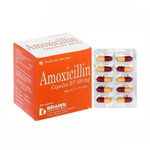 Thuốc Amoxicillin 500mg Brown Burk điều trị nhiễm khuẩn (10 vỉ x 10 viên)