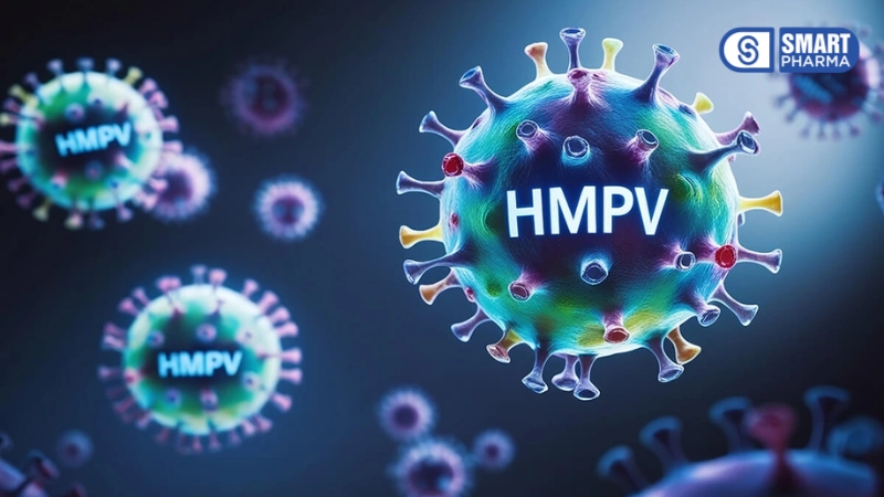 Smart Pharma - Virus HMPV: Triệu chứng, biến chứng và cách phòng ngừa 2 Smart Pharma - virus HMPV