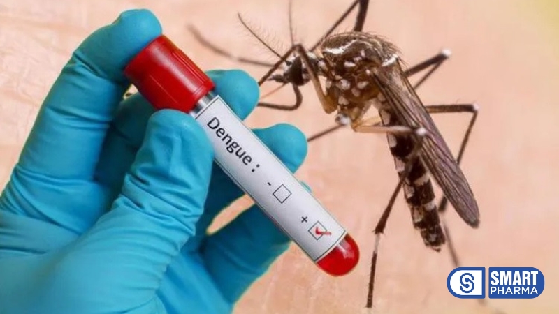 Smart Pharma - Nhận biết sớm triệu chứng sốt xuất huyết và cách điều trị 2 Smart Pharma - 3 5
