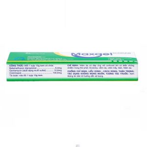 Smart Pharma - Kem bôi da Maxgel SPM điều trị viêm da, viêm trầy, hăm, nấm da (10g) 2 Smart Pharma - Maxgel1