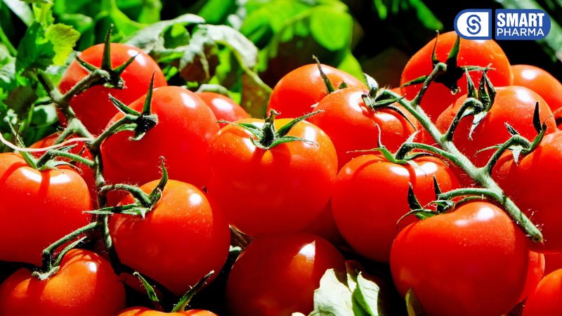 Smart Pharma - ut4 1