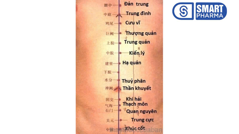 Các vị trí huyệt trên cơ thể